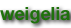 shapeimage_1_link_0