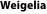 shapeimage_31_link_0