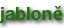 shapeimage_74_link_0