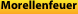 shapeimage_2_link_0